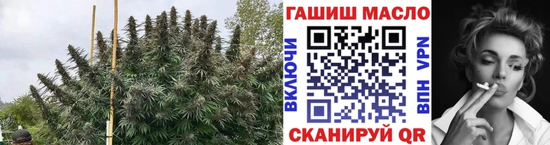 ТГК Wax Северская