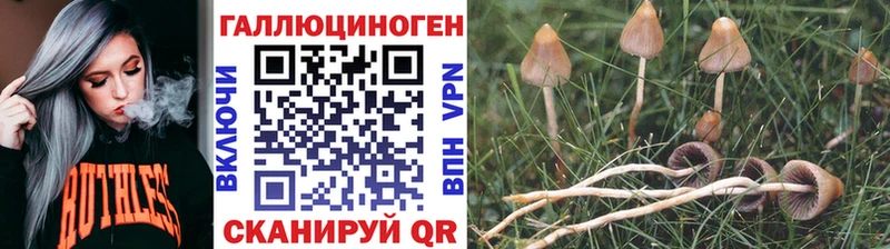 Псилоцибиновые грибы MAGIC MUSHROOMS  сколько стоит  дарк нет наркотические препараты  Северская  OMG онион 