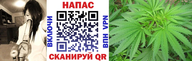 где продают   мега онион  МАРИХУАНА план  Северская 